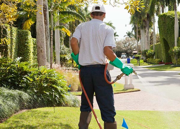 About Beachwood NJ Pest Control Pros